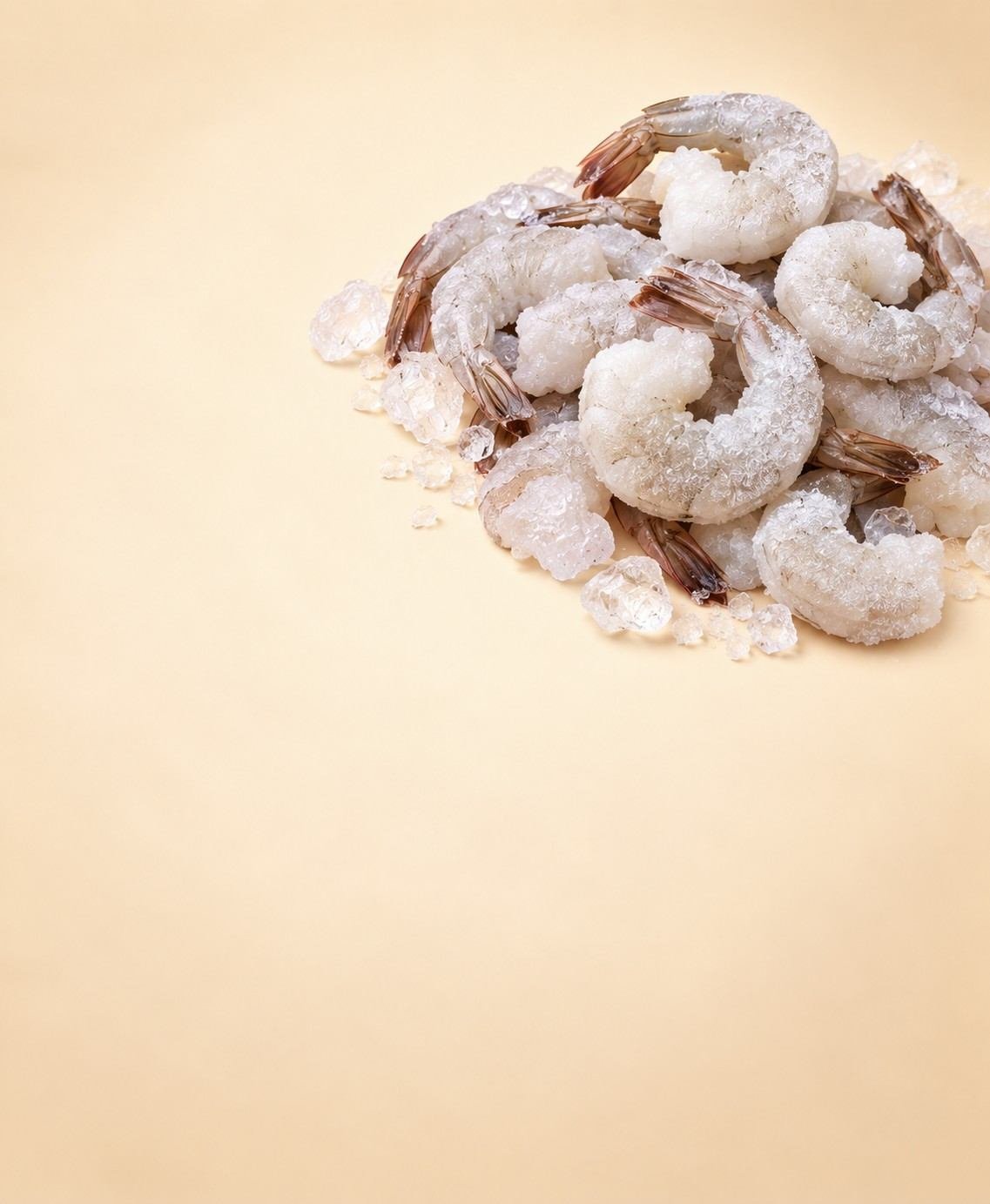 Frozen shrimp suppliers and exporters from India