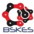 BSK Engineering Services