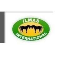 Ilmas International