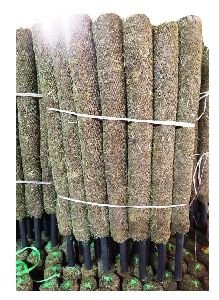 1.5 Feet Moss Stick