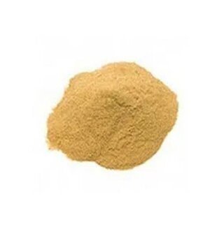 Yeast Extract Powder