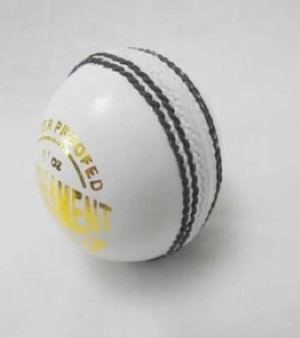 Cricket Leather Balls