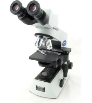 Olympus Microscope