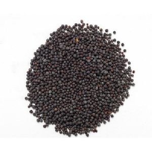 Black Mustard Seeds