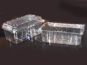 Plastic Strawberry Container