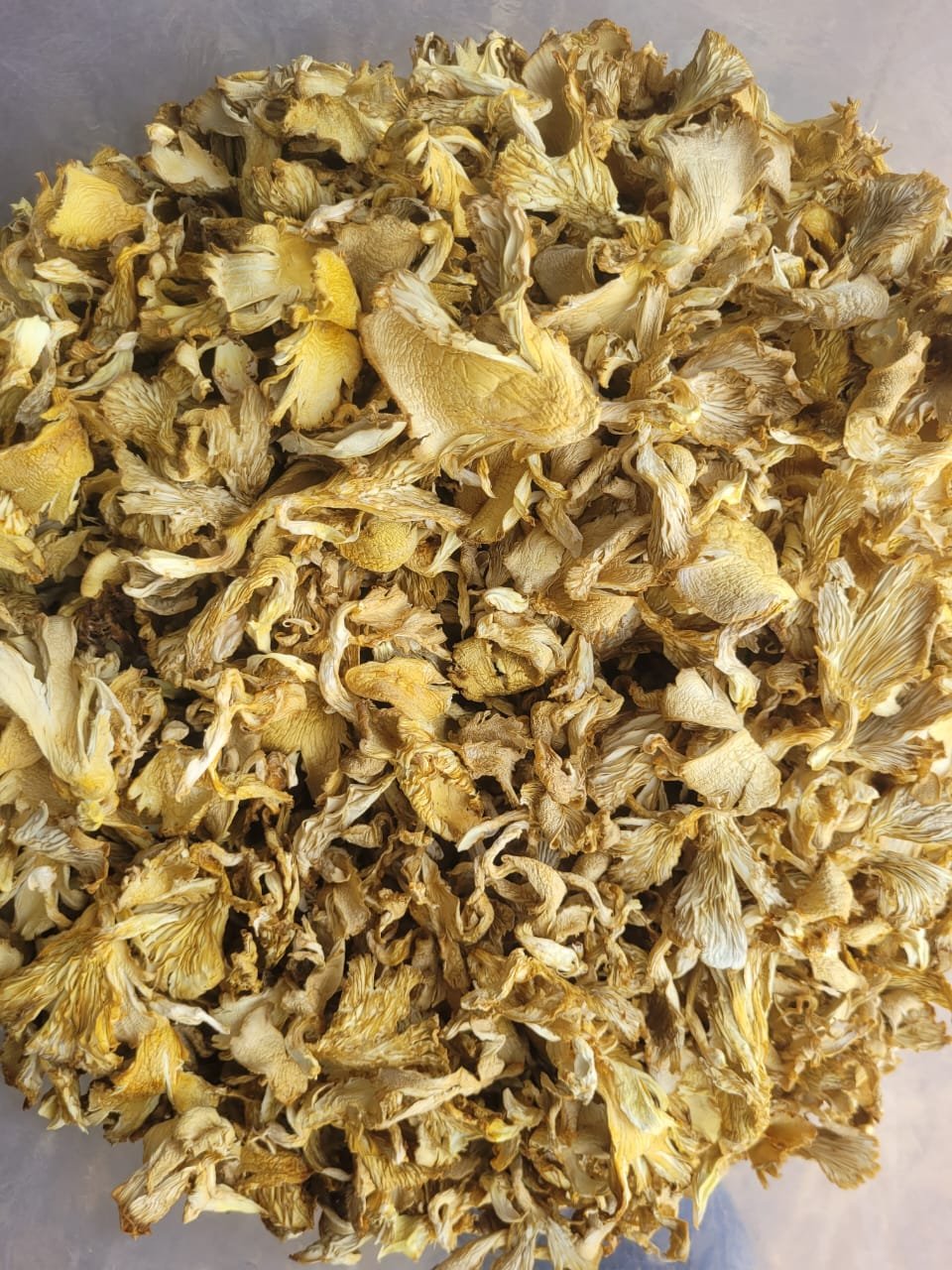 Dried Oyster Mushroom