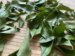 Curry Leaves