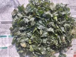 Oil Fried Curry Leaves