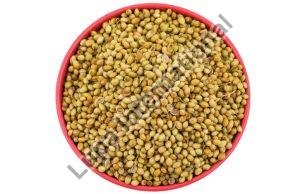 Coriander Seeds, Quality : Good