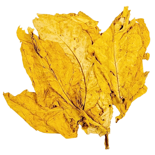 Golden Leaf