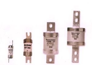 BSLV Industrial Fuse