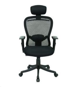 High Back Director Chair