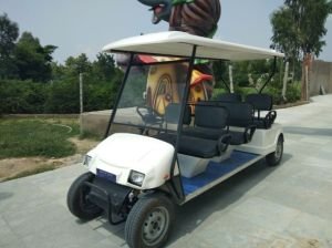 6 Seater Golf Cart
