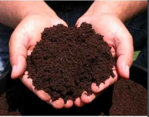 Agriculture Products