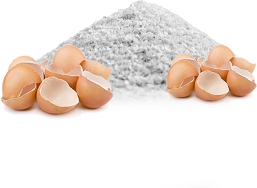 Egg Shell Powder