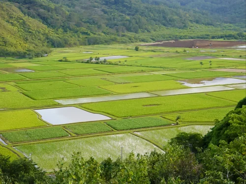 agricultural land development