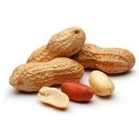 Groundnut Kernels