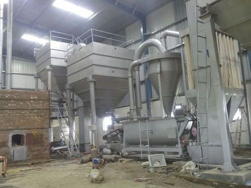 Plaster of Paris Plant