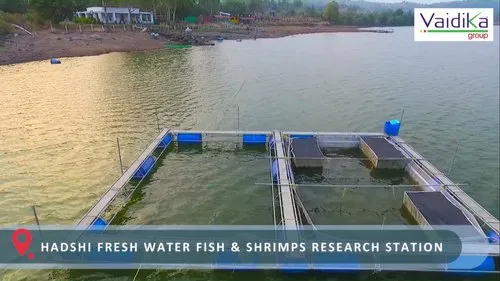 aquaculture