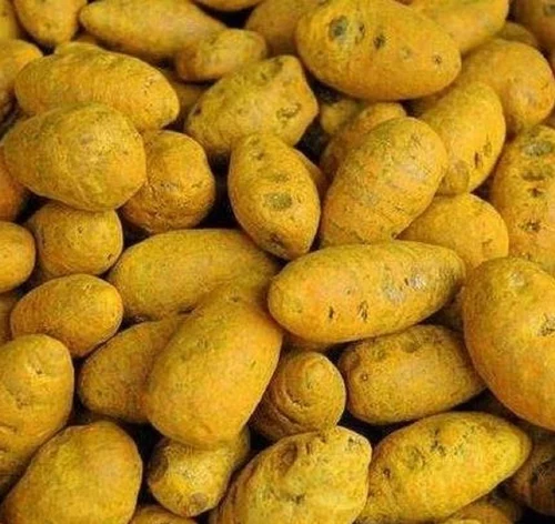 Yellow Turmeric Bulb