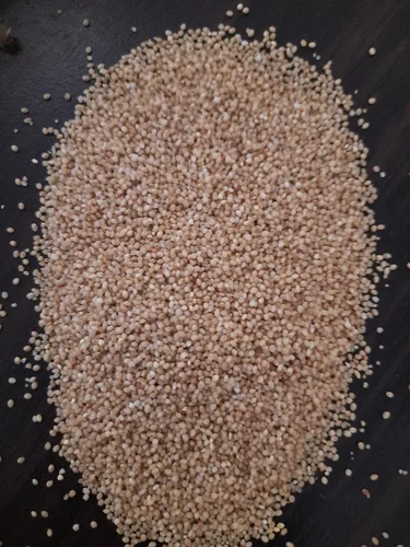 Little Millet Samai Rice