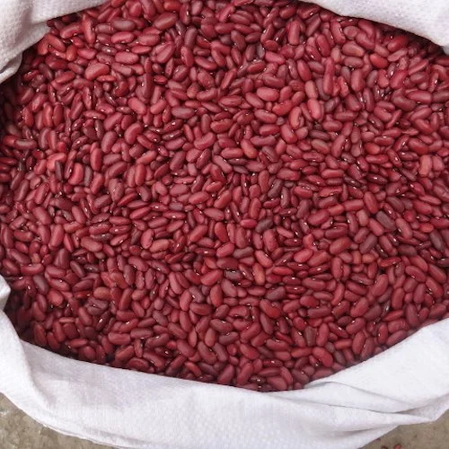 Red Kidney Bean (Rajma)