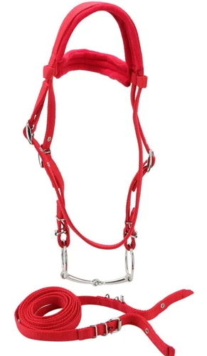 snaffle bridle