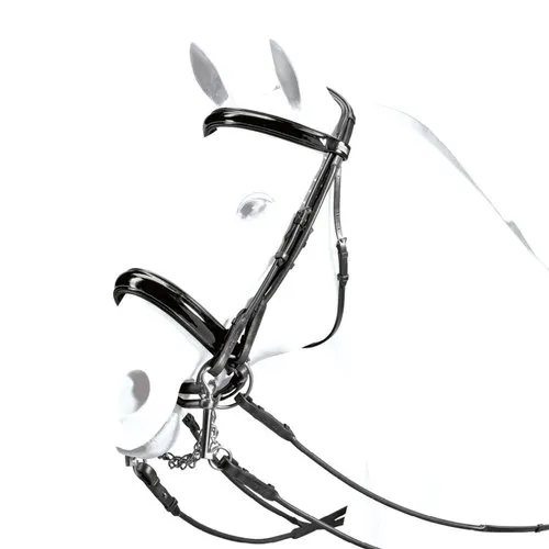 snaffle bridle
