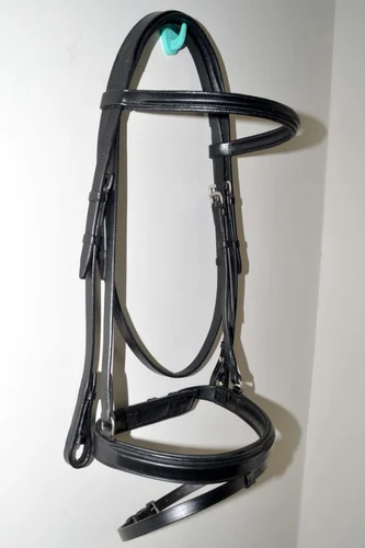 snaffle bridle