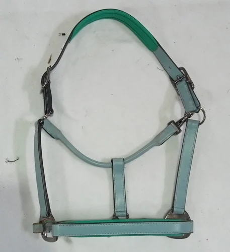 Green Leather Horse Halter