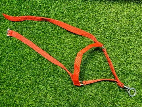 Nylon Cow Halter