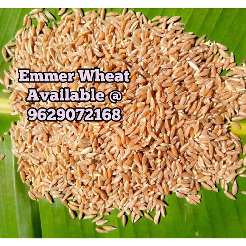 organic grains