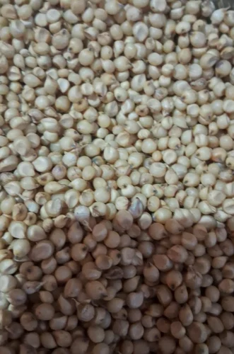 Organic Jowar Seed Dadar