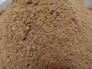 Meat Bone Meal With High Energy And High Content Of Protein