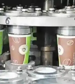 Eco Friendly Paper Cup