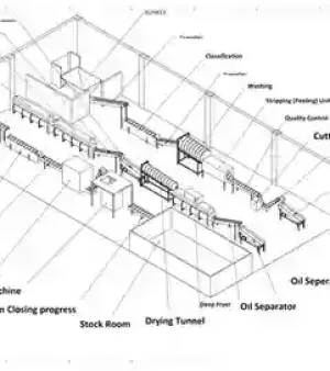 Frozen French Fries Potatoes Line