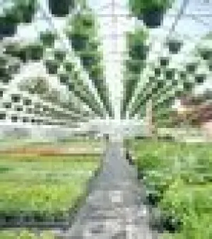 Nursery Greenhouse Structure