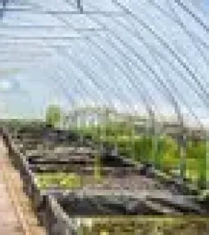 Nursery Plant Greenhouse