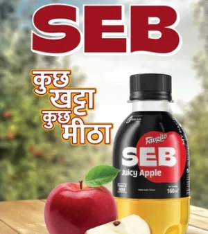 Seb Natural Apple Soft Drink Alcohol Content (%): Nil