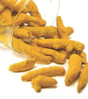 Turmeric Finger, Drying Process : sun dried