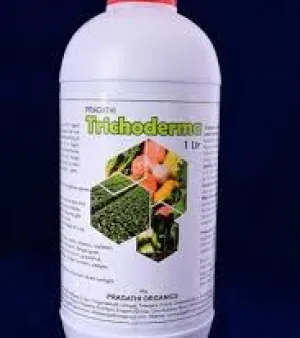 Organic Trichoderma for Agriculture, Classification : Fungus, Colour : White