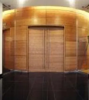 Bamboo Veneer, Material use : Bamboo
