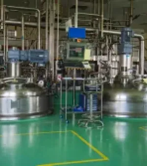 Gas High Pressure Reactor, Material : Stainless Steel