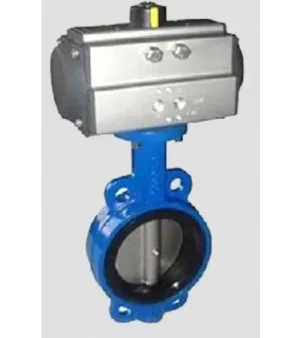 Butterfly Valve, Material : Stainless Steel