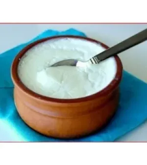 Fresh Curd, Packaging Type : Cup