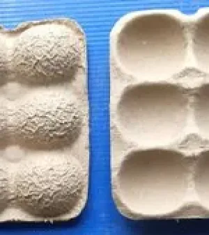 Molded Pulp Tray, Material : Paper