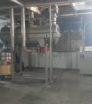 Curd process plant 