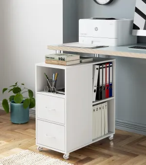 Office Filing Cabinet