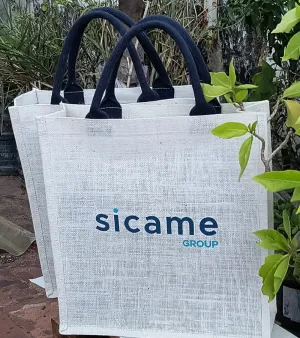 Plain Jute Carry Bag