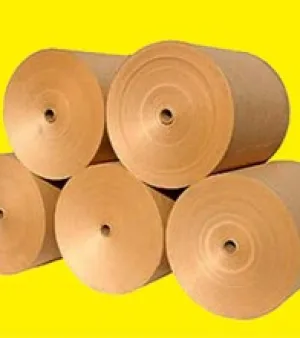 Paper Reels